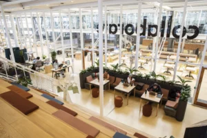 Workshop17 V&A Waterfront Review: The Gold Standard for Remote Work