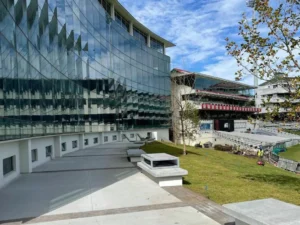 Workshop17 Newlands Review: Cricket Ground Views in the Snakepit Building