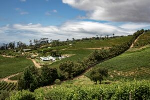 Cape Winelands Tour Companies: The Honest Shortlist
