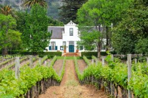 Constantia, Cape Town: The Wine Valley on the Mountain’s Back