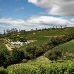 Best day trips from Cape Town — Peninsula, Winelands, Hermanus and further