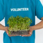 Volunteering in Cape Town as a Short-Stay Nomad: Where to Plug In Without Doing Harm